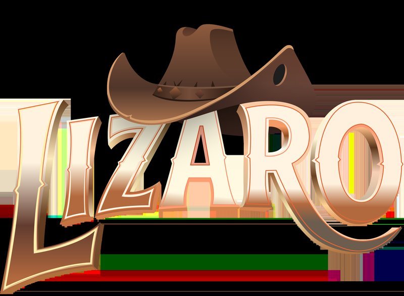 Discover casino lizaro