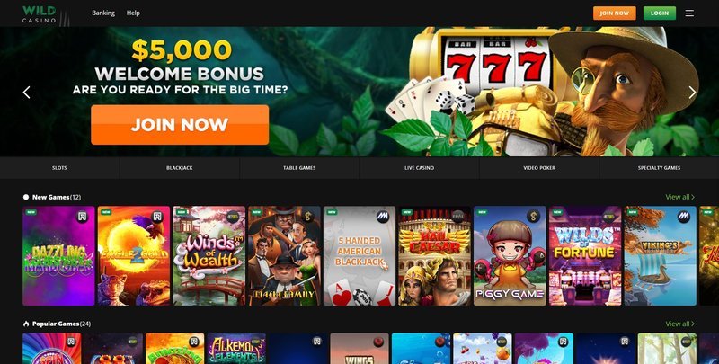Is Wildzy Casino a Secure Betting Option in the UK Market? - overview